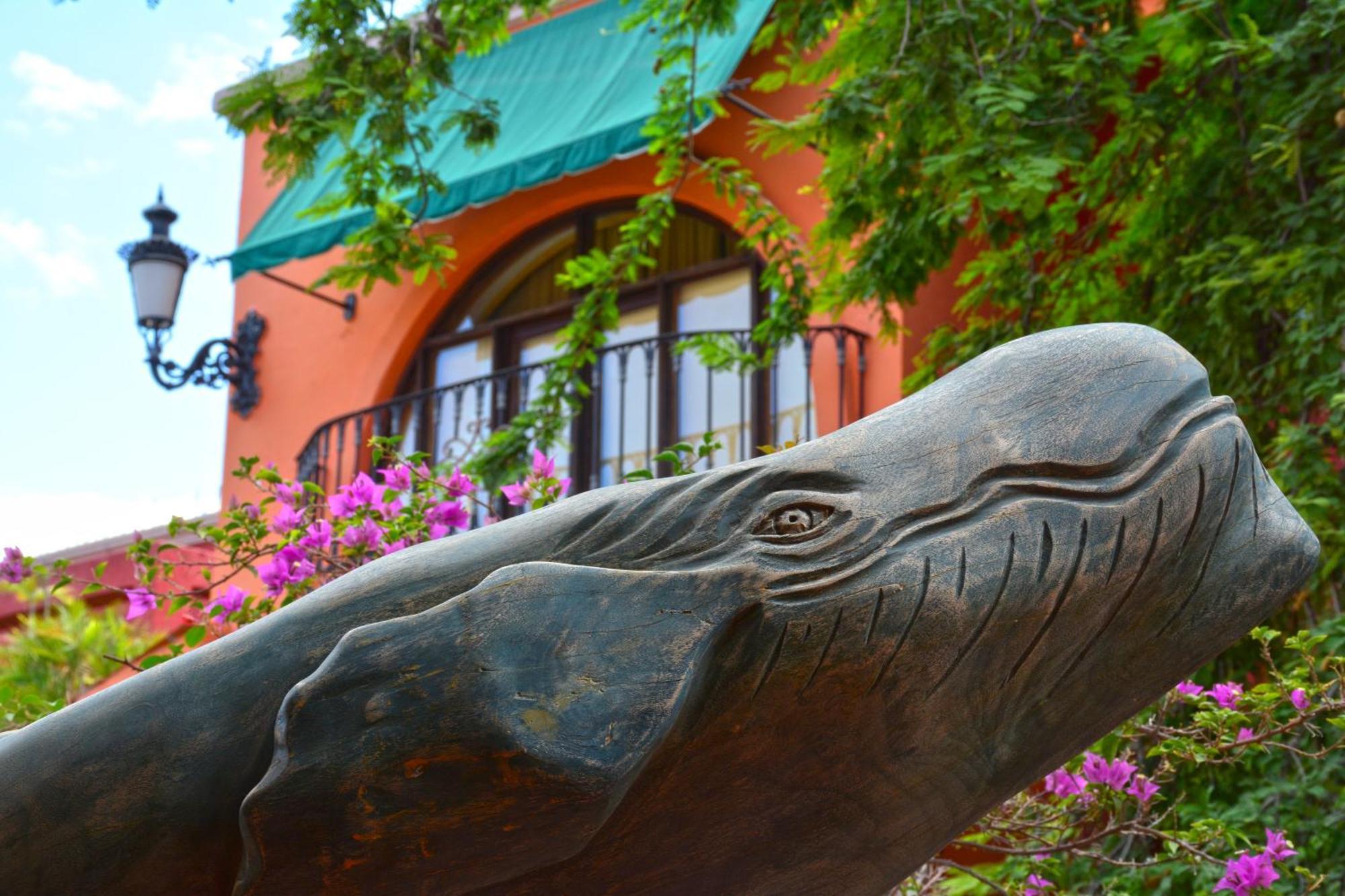 Collection O Casa Bella Hotel Boutique, Cabo San Lucas Exterior foto
