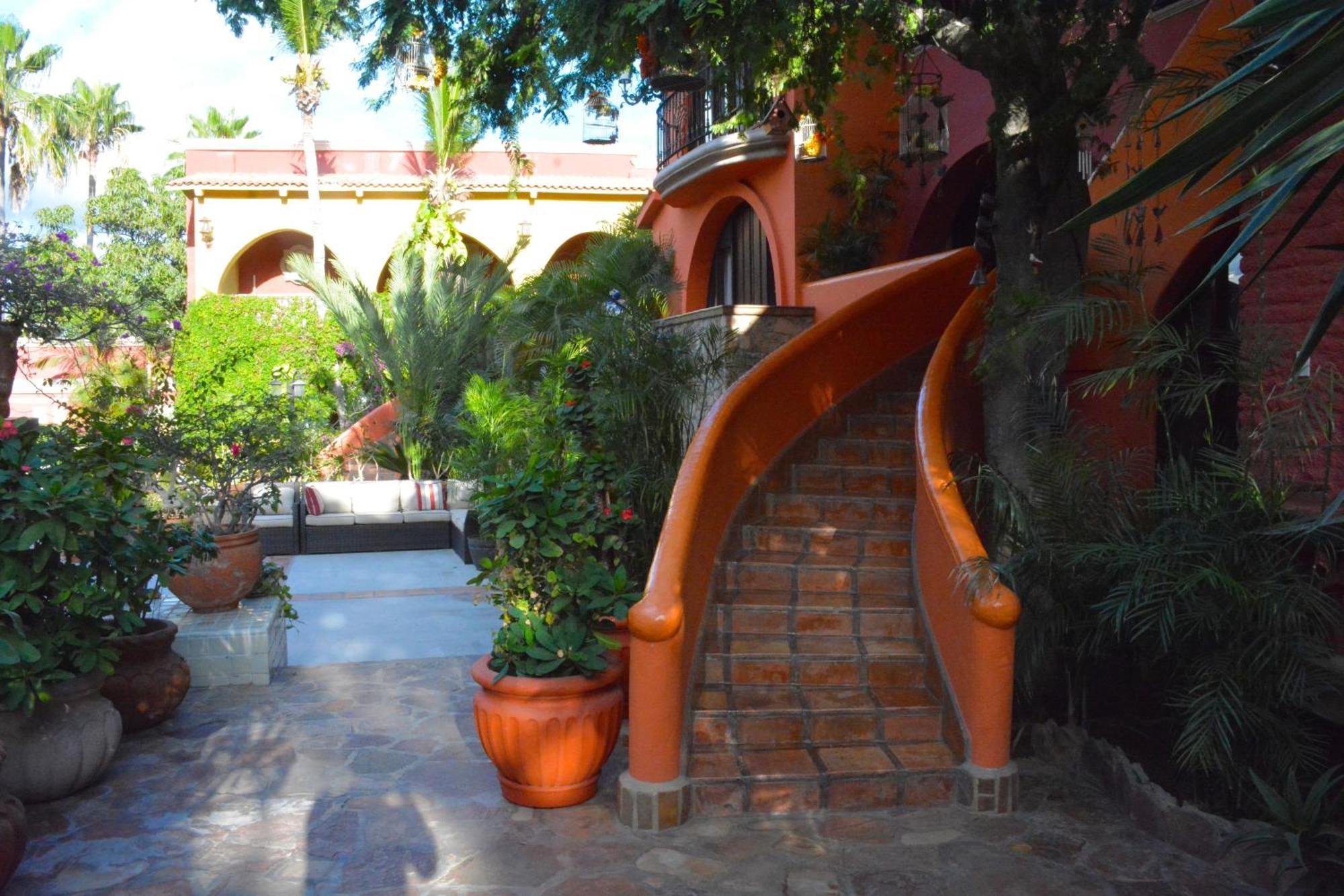 Collection O Casa Bella Hotel Boutique, Cabo San Lucas Exterior foto
